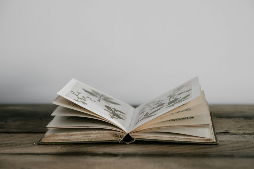 open book pages
